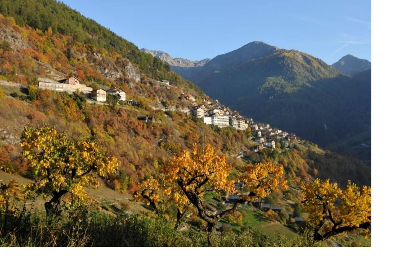 Le Cocon Du Catogne Proche Martigny Verbier - Netflix - Valettes ภายนอก รูปภาพ