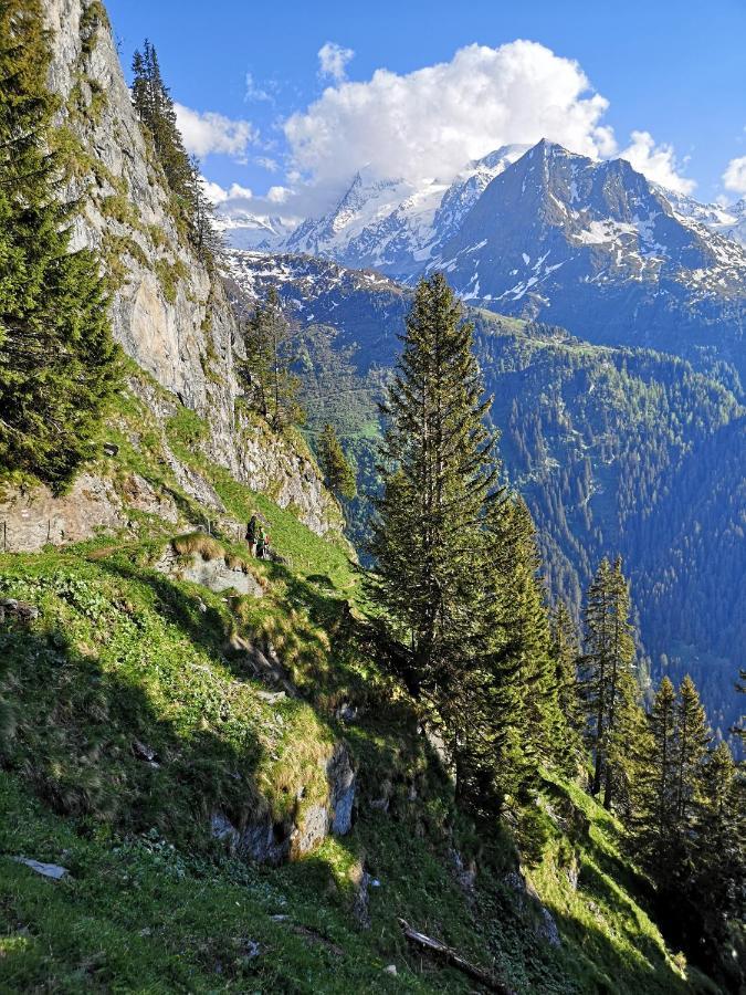 Le Cocon Du Catogne Proche Martigny Verbier - Netflix - Valettes ภายนอก รูปภาพ